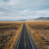 Mobile Notary Travel and Time