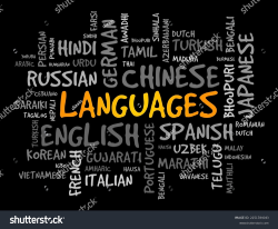 17 IDIOMATIC USA Document Translation Service